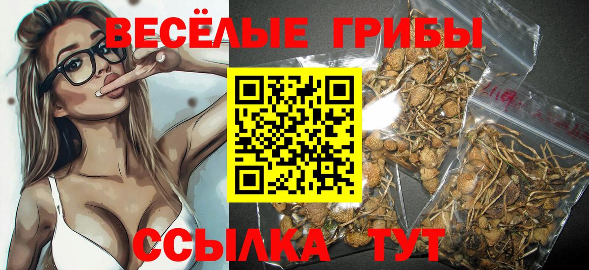 Галлюциногенные грибы GOLDEN TEACHER Заринск